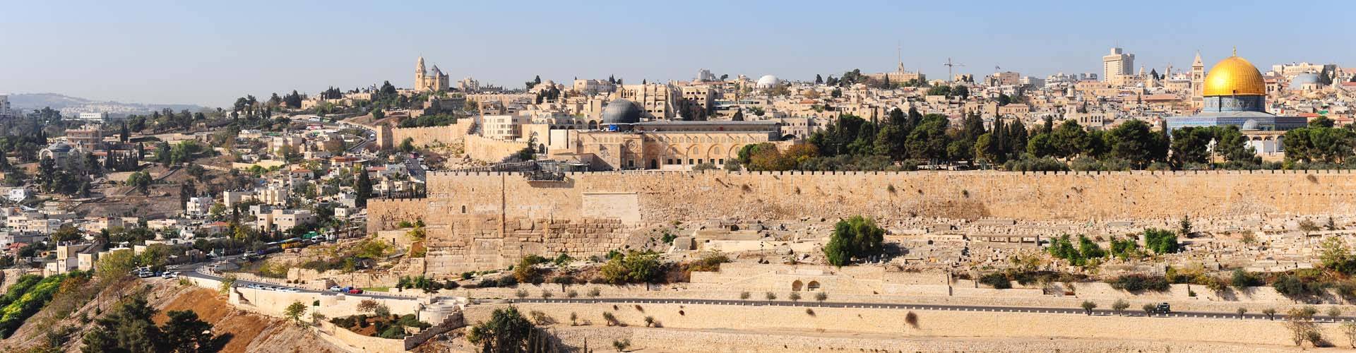 תמונת אווירה דקורטיבית