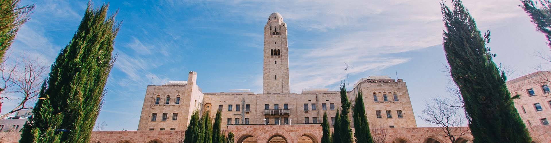 תמונת אווירה דקורטיבית