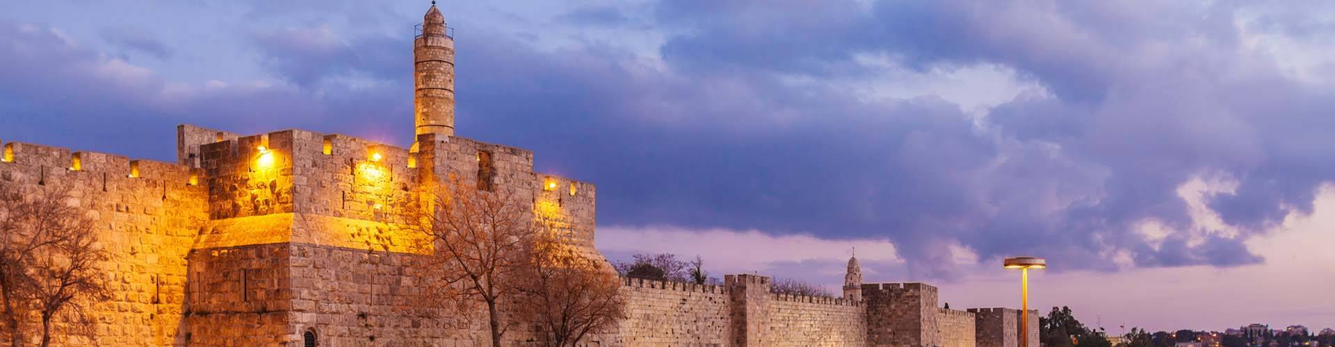 תמונת אווירה דקורטיבית